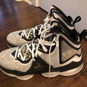 Lightly Used Lebrons, Size 14